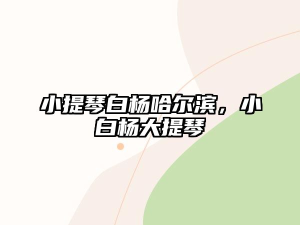 小提琴白楊哈爾濱，小白楊大提琴