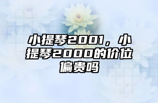 小提琴2001，小提琴2000的價位偏貴嗎