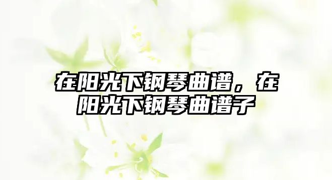 在陽光下鋼琴曲譜，在陽光下鋼琴曲譜子