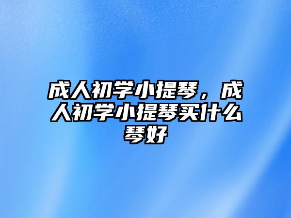 成人初學小提琴，成人初學小提琴買什么琴好