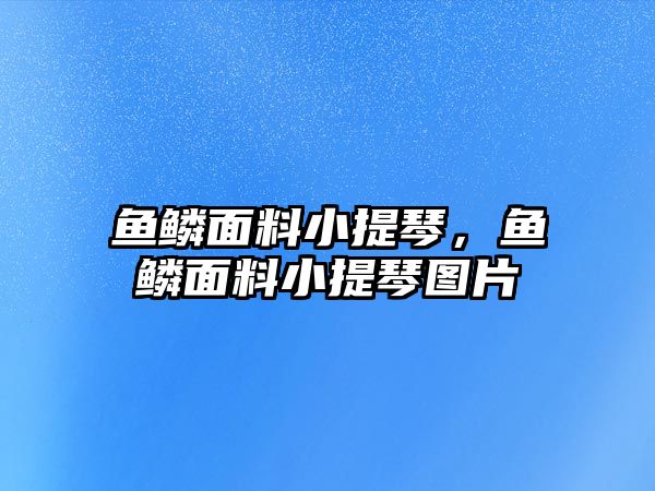 魚鱗面料小提琴，魚鱗面料小提琴圖片