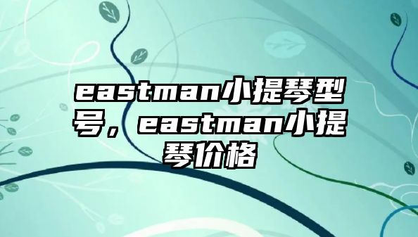 eastman小提琴型號，eastman小提琴價格