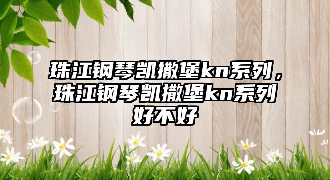 珠江鋼琴凱撒堡kn系列，珠江鋼琴凱撒堡kn系列好不好