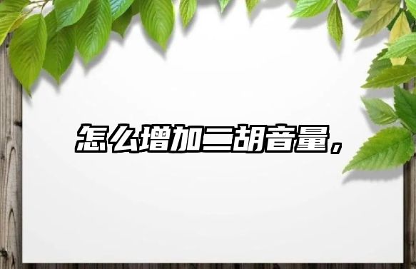 怎么增加二胡音量，