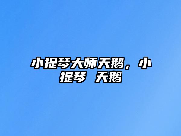 小提琴大師天鵝，小提琴 天鵝