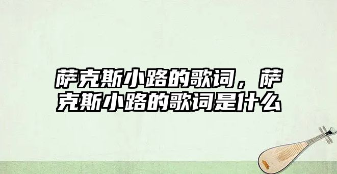 薩克斯小路的歌詞，薩克斯小路的歌詞是什么