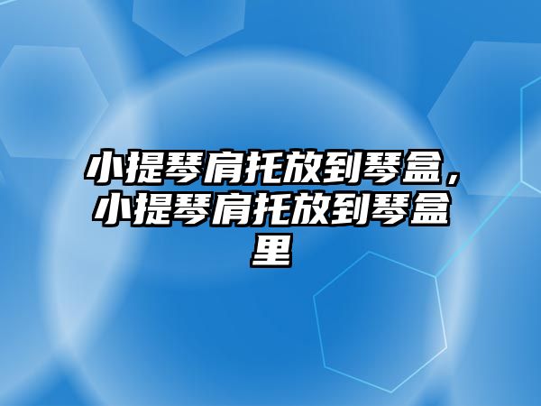 小提琴肩托放到琴盒，小提琴肩托放到琴盒里