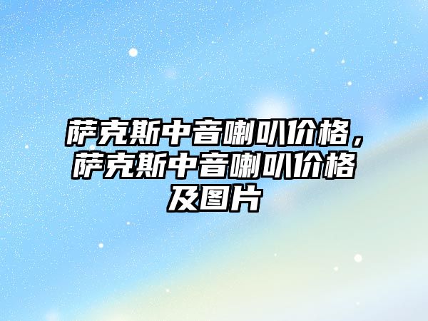 薩克斯中音喇叭價格，薩克斯中音喇叭價格及圖片