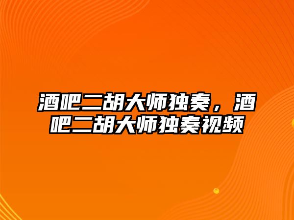 酒吧二胡大師獨奏，酒吧二胡大師獨奏視頻