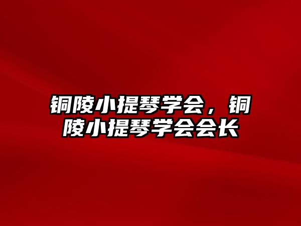 銅陵小提琴學會，銅陵小提琴學會會長