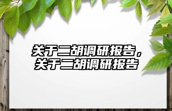 關于二胡調研報告，關于二胡調研報告