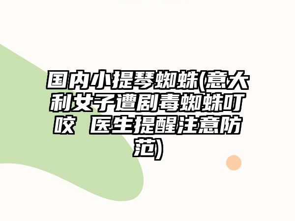 國(guó)內(nèi)小提琴蜘蛛(意大利女子遭劇毒蜘蛛叮咬 醫(yī)生提醒注意防范)