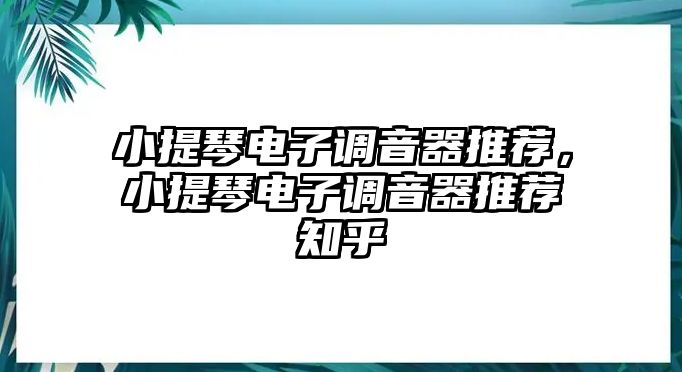 小提琴電子調音器推薦，小提琴電子調音器推薦知乎