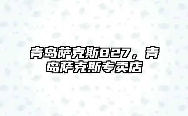 青島薩克斯827，青島薩克斯專賣店