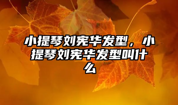 小提琴劉憲華發(fā)型，小提琴劉憲華發(fā)型叫什么