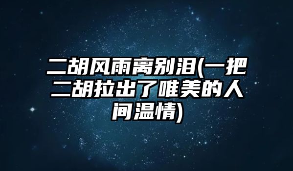 二胡風雨離別淚(一把二胡拉出了唯美的人間溫情)