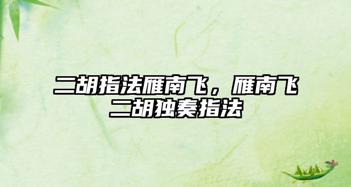 二胡指法雁南飛，雁南飛二胡獨奏指法