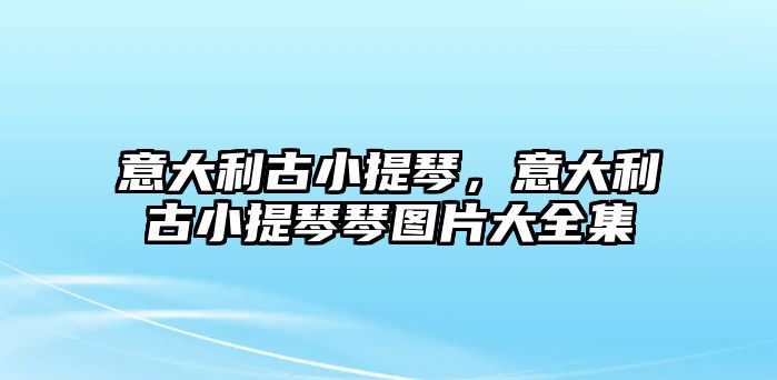 意大利古小提琴，意大利古小提琴琴圖片大全集