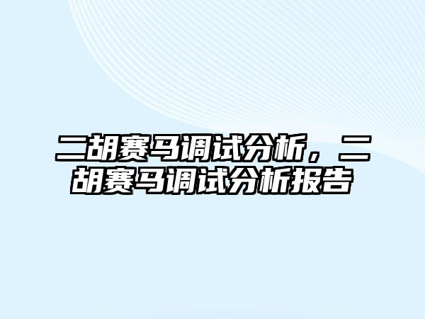 二胡賽馬調試分析，二胡賽馬調試分析報告