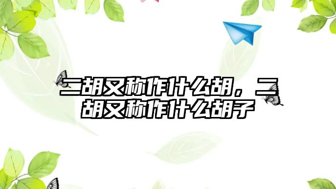 二胡又稱作什么胡，二胡又稱作什么胡子