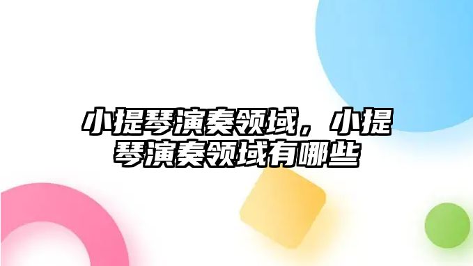 小提琴演奏領(lǐng)域，小提琴演奏領(lǐng)域有哪些