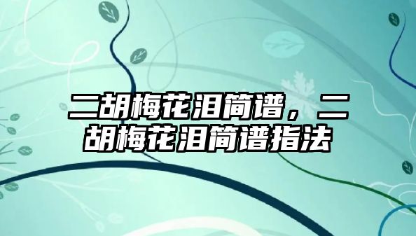 二胡梅花淚簡譜，二胡梅花淚簡譜指法