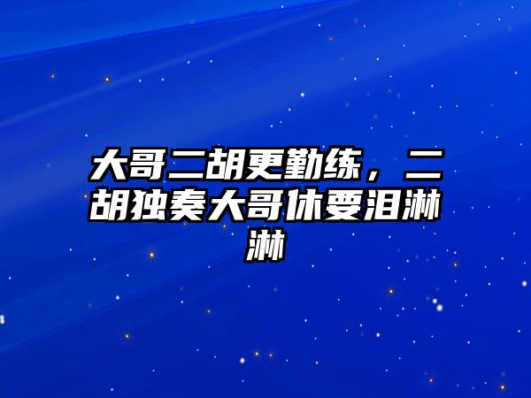 大哥二胡更勤練，二胡獨(dú)奏大哥休要淚淋淋