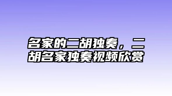 名家的二胡獨奏，二胡名家獨奏視頻欣賞