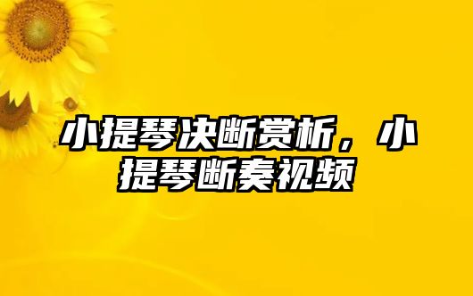 小提琴決斷賞析，小提琴斷奏視頻