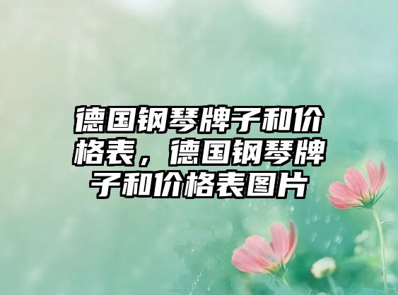 德國鋼琴牌子和價格表，德國鋼琴牌子和價格表圖片