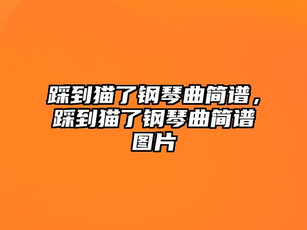 踩到貓了鋼琴曲簡譜，踩到貓了鋼琴曲簡譜圖片