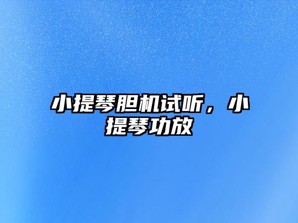 小提琴膽機試聽，小提琴功放