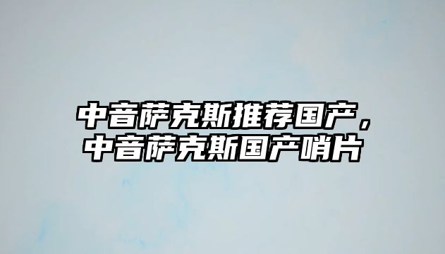 中音薩克斯推薦國產，中音薩克斯國產哨片