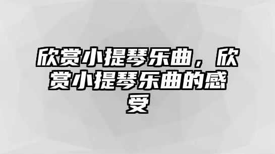 欣賞小提琴樂曲，欣賞小提琴樂曲的感受