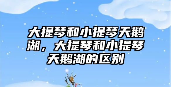 大提琴和小提琴天鵝湖，大提琴和小提琴天鵝湖的區(qū)別