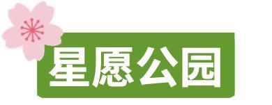 “鎮(zhèn)”在等你，迪士尼小鎮(zhèn)春日美景大放送