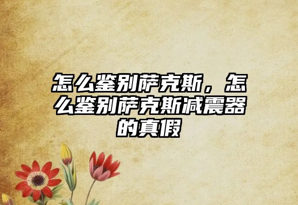 怎么鑒別薩克斯，怎么鑒別薩克斯減震器的真假