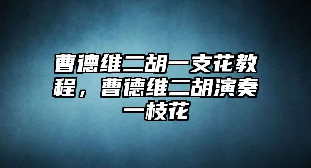 曹德維二胡一支花教程，曹德維二胡演奏一枝花