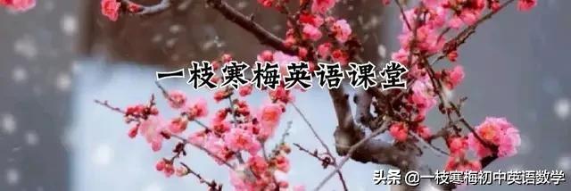 喇叭小提琴英語(人教版丨七年級上冊 第10單元 考點梳理)