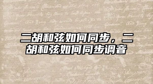 二胡和弦如何同步，二胡和弦如何同步調音