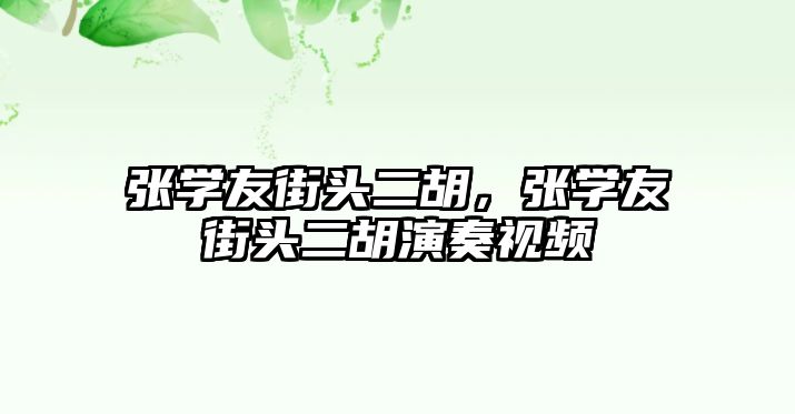 張學友街頭二胡，張學友街頭二胡演奏視頻