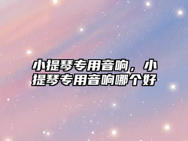 小提琴專用音響，小提琴專用音響哪個(gè)好