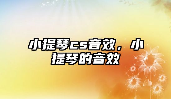 小提琴cs音效，小提琴的音效