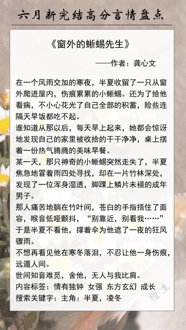 六月新完結高分言情盤點！《窗外的蜥蜴先生》《風眼蝴蝶》等等