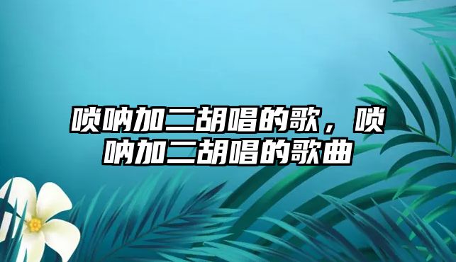 嗩吶加二胡唱的歌，嗩吶加二胡唱的歌曲