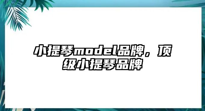 小提琴model品牌，頂級小提琴品牌