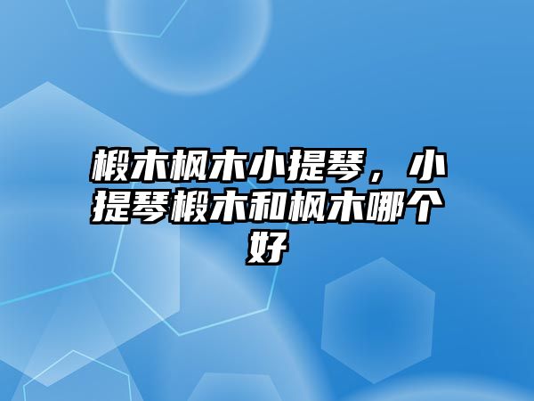 椴木楓木小提琴，小提琴椴木和楓木哪個好