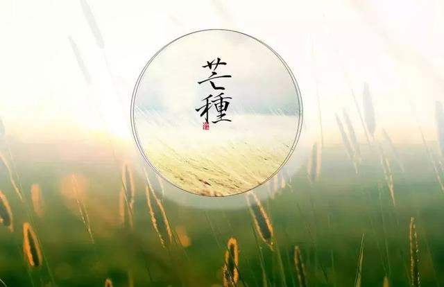 《芒種》：歌曲表達離別之痛的背后，是佛家對“放下執著”的詮釋