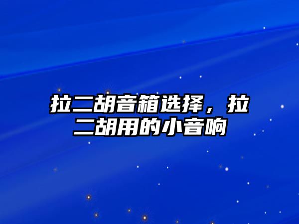 拉二胡音箱選擇，拉二胡用的小音響