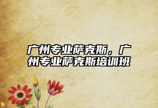 廣州專業薩克斯，廣州專業薩克斯培訓班